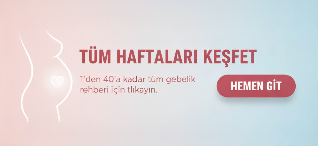 37. Hafta Gebelik (Hamilelik) Rehberi Hamilelik Haftası